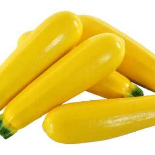 Hafaza  -FC17-2205(2)